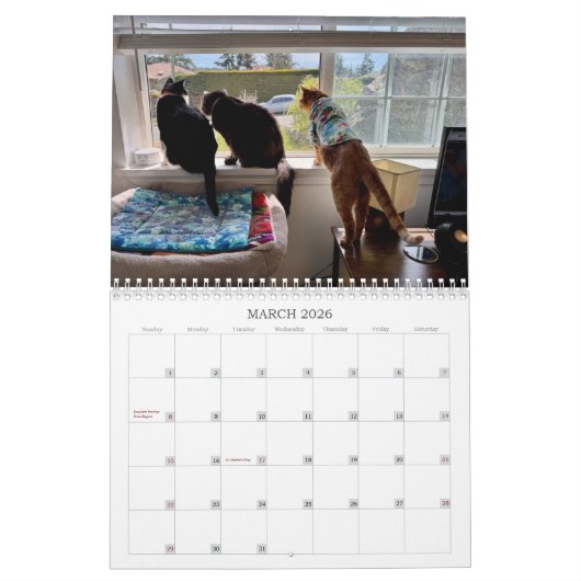 2026 TCF and Friends Calendar Kalender (Mar 2026)