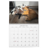 2026 TCF en Vrienden Kalender (Jan 2027)