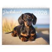 2026 Teckel Kalender (Hoes)