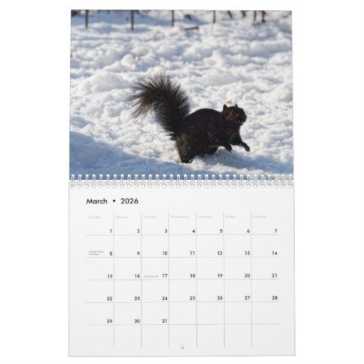2026 The Seated View Calendar Kalender (Mar 2026)