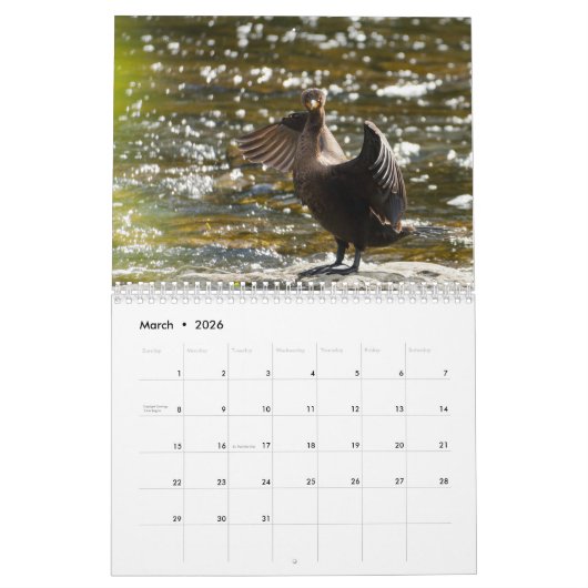 2026 The Seated View Calendar Kalender (Mar 2026)