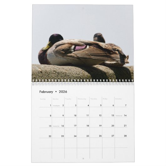 2026 The Seated View Calendar Kalender (Feb 2026)