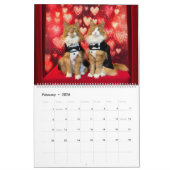 2026 Tony and Teddy Maine Coons Calendar Kalender (Feb 2026)