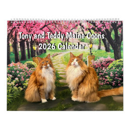 2026 Tony and Teddy Maine Coons Calendar Kalender