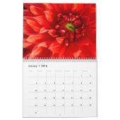 2026 Tuinbloemen Muurkalender Kalender (Jan 2016)