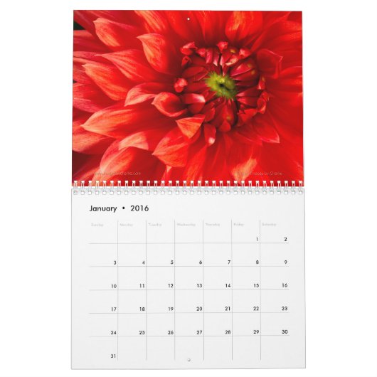 2026 Tuinbloemen Muurkalender Kalender (Jan 2016)