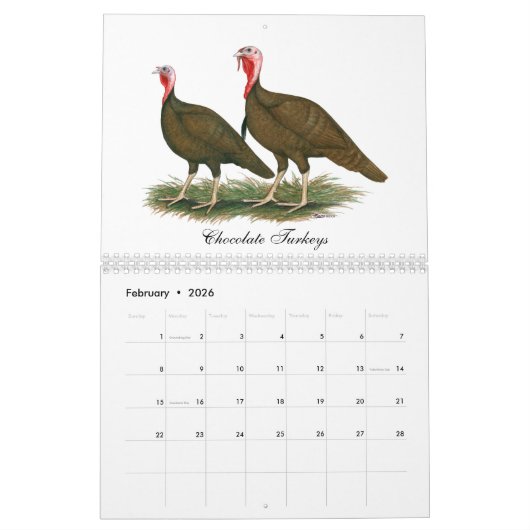 2026 Turkey Calendar Kalender (Feb 2026)