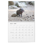 2026 Varken-Biggen Kalender (Mar 2027)