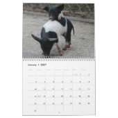2026 Varken-Biggen Kalender (Jan 2027)