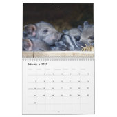 2026 Varken-Biggen Kalender (Feb 2027)