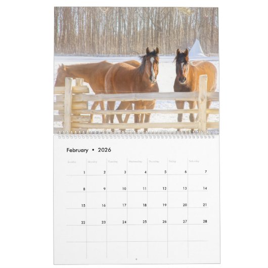 2026 Vermont Calendar Kalender (Feb 2026)