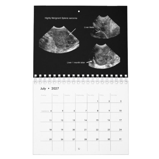 2026 Veterinaire Echografie Agenda Kalender (Jul 2027)