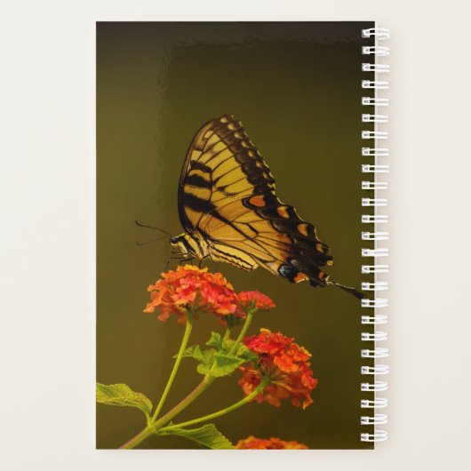 2026 Vlinderplanner Planner (Achterkant)