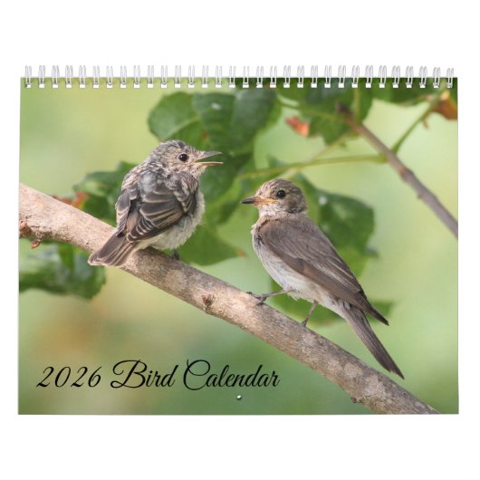 2026 Vogelkalender Kalender (Hoes)