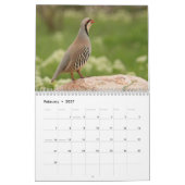 2026 Vogelkalender Kalender (Feb 2027)