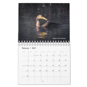 2026 Vogelkalender Kalender (Feb 2027)