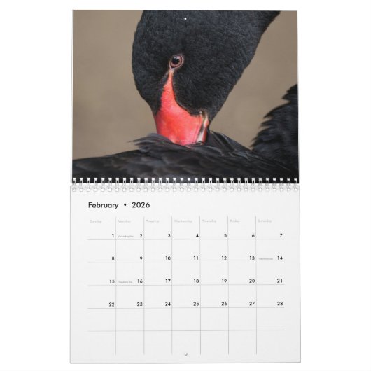 2026 Vogels Kalender (Feb 2026)