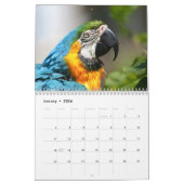 2026 Vogels Kalender (Jan 2026)