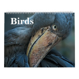 2026 Vogels Kalender