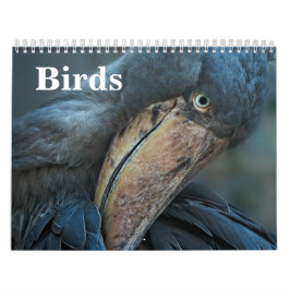 2026 Vogels Kalender