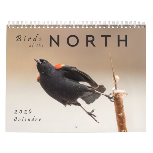 2026 Vogels van het Noorden: Great Lakes Kalender (Hoes)