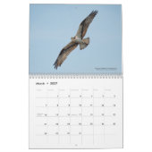 2026 Vogels van het Noorden: Great Lakes Kalender (Mar 2027)