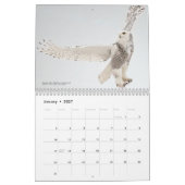 2026 Vogels van het Noorden: Great Lakes Kalender (Jan 2027)