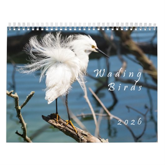 2026 Wading Birds Original Photo Calendar Kalender (Hoes)