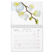 2026 Wall Calendar Flowers in Macro Photography Kalender (Jan 2027)