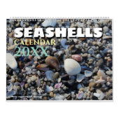 2026 Wall Seashell Calendar Beach Shells Gift Kalender (Hoes)