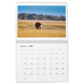 2026 Wandkalender - SunshineShoots Kalender (Jan 2027)