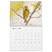 2026 Warblers - Original Bird Photo Calendar Kalender (Feb 2026)