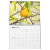 2026 Warblers - Original Bird Photo Calendar Kalender (Mar 2027)