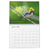 2026 Warblers - Original Bird Photo Calendar Kalender (Jan 2027)