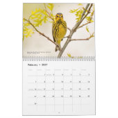 2026 Warblers - Original Bird Photo Calendar Kalender (Feb 2027)