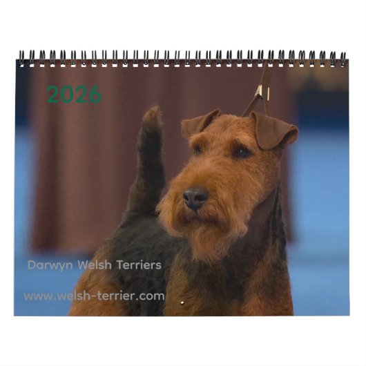 2026 Welsh Terrier-agenda Kalender (Hoes)