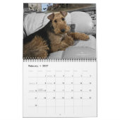 2026 Welsh Terrier Calendar Kalender (Feb 2027)