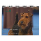 2026 Welsh Terrier Calendar Kalender (Hoes)