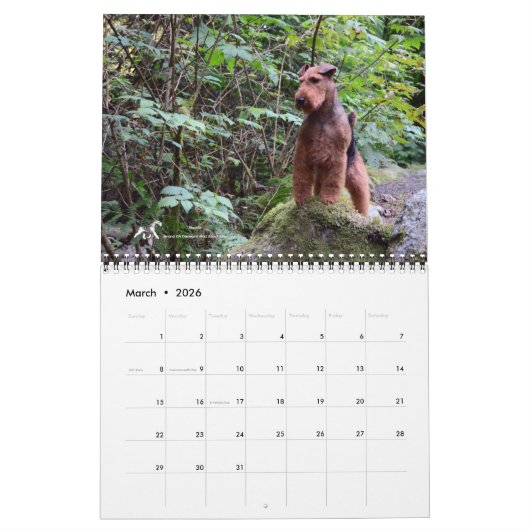 2026 Welsh Terrier Calendar Kalender (Mar 2026)