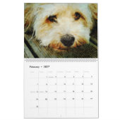 2026 Wheaten Terrier-hond Mama Moeder Eigenaar Ca Kalender (Feb 2027)