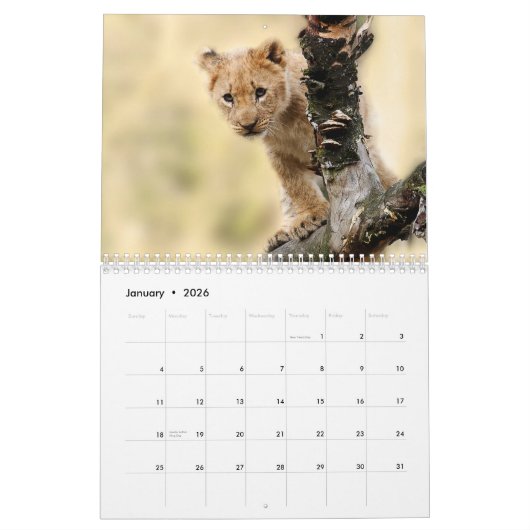 2026 Wild Lions Kalender (Jan 2026)
