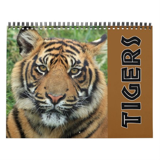 2026 Wild Tiger Kalender (Hoes)