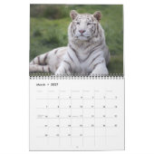 2026 Wild Tiger Kalender (Mar 2027)