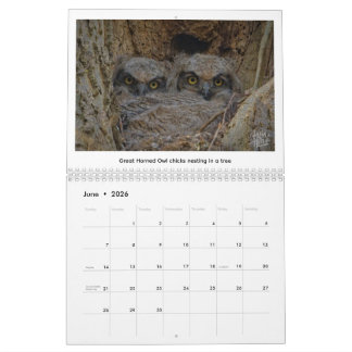2026 Wilde Dieren Kalender van Kevin Harris