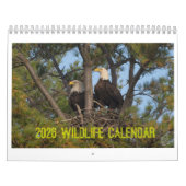 2026 Wilde Dieren Kalender van Kevin Harris (Hoes)
