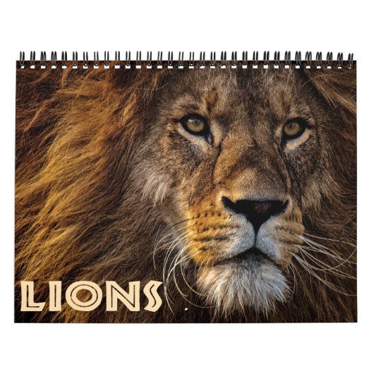 2026 Wilde Leeuwen Kalender (Hoes)