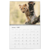 2026 Wilde Leeuwen Kalender (Jan 2027)