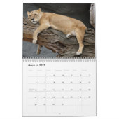 2026 Wilde Leeuwen Kalender (Mar 2027)