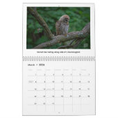 2026 Wildlife Calendar by Kevin Harris Kalender (Mar 2026)