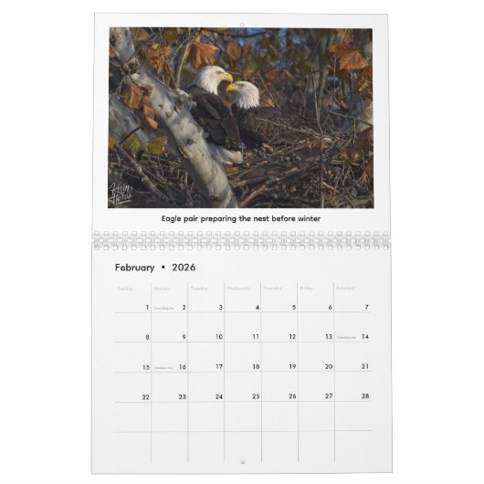 2026 Wildlife Calendar by Kevin Harris Kalender (Feb 2026)